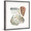 Rock Ferns by Marmont Hill - Single Picture Frame Painting-351645250