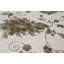 Dharma Floral Area Rug