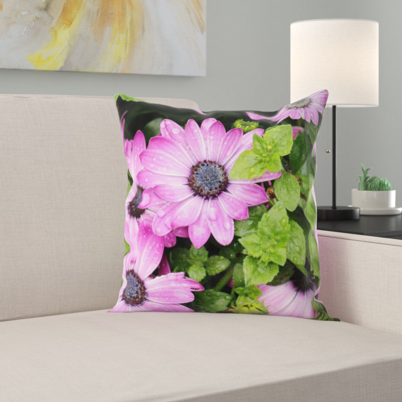 Coussin osteospermum