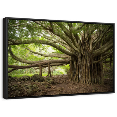 Impression sur toile Banyan Tree