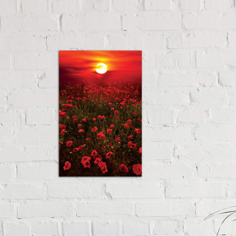 « chaleureux coucher de soleil » par marco carmassi-reproduction de photo, H 40 po x l 26 po x P 1,5 po, Toile tendue