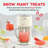 Deluxe Shaved Ice & Slushy Maker