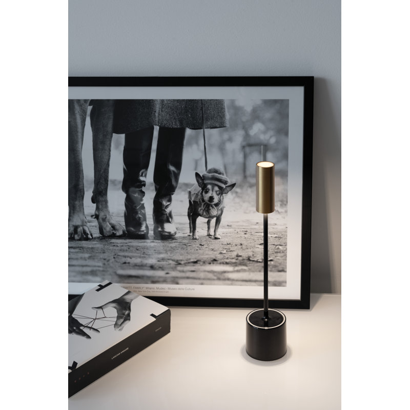Carolina Pro, Jet Black / Brushed Brass