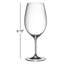 RIEDEL Vinum Syrah/Shiraz Wine Glass