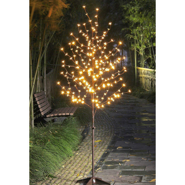 Brilliant Christmas lights illuminate the Sunken Garden at the