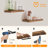 Kayleah 2 Piece Floating Shelf-254558830-206962547