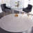 Ketaki Oriental Gray/Light Gray Area Rug-1972836929