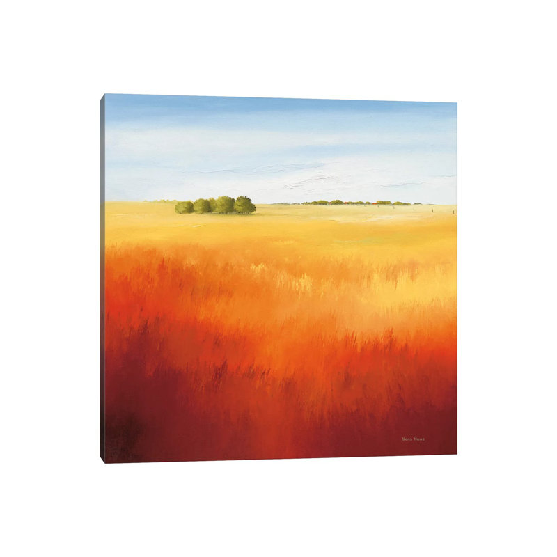 Red Field II by Hans Paus - Wrapped Canvas Print, 30.48 cm H x 30.48 cm W