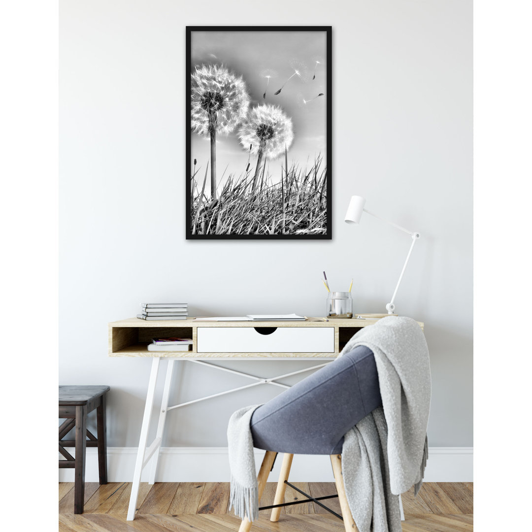 Gerahmter Fotodruck Dandelions in Spring Meadow