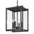Isiah Outdoor Hanging Lantern