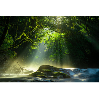 Kikuchi Valley, Japan - Wrapped Canvas Print