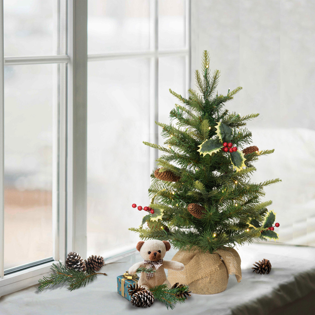 2' Lighted Pine Christmas Tree The Holiday Aisle®