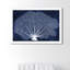 «Nautical and Coastal Coral Fan», impression d'art graphique sur papier-25408914-25408920