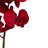Phalaenopsis Artificial Flower