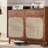 Modern Versatile Rattan Solid Wood Bookcase