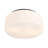 Edgemont 4-Light Ceiling Light in Matte Black-1005118386