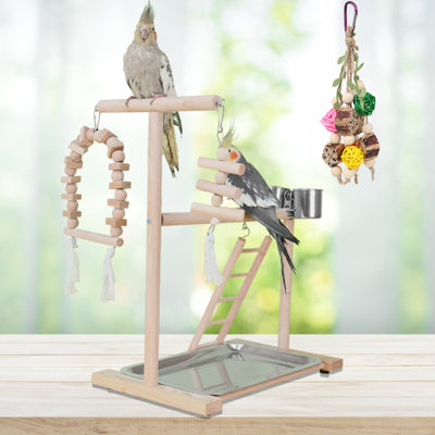 17.3'' Bird Play Gym for Table Top