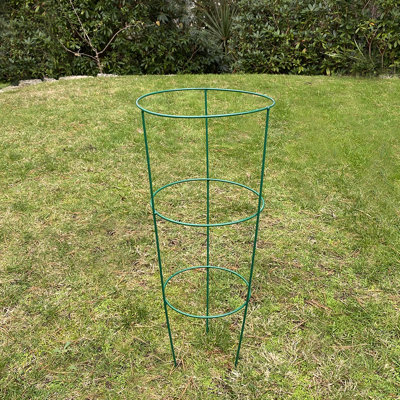 Aieden Metal Weather Resistant Plant Support