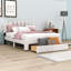 Lit plateforme avec rangement Layhew-1274506528