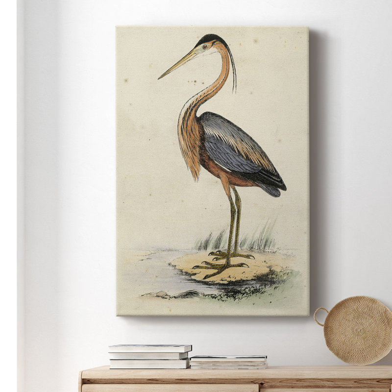 " Antique Heron I " Painting Print, 18" H x 12" W x 1.5" D