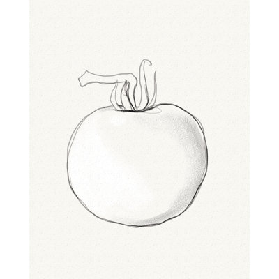Tomate - dessin