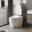 Smart Toilet With Air Freshener, Ambient Light, Auto Lid, Foot Sensor & Bidet
