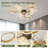 Isamari 37'' Ceiling Fan with 6 LED Lights