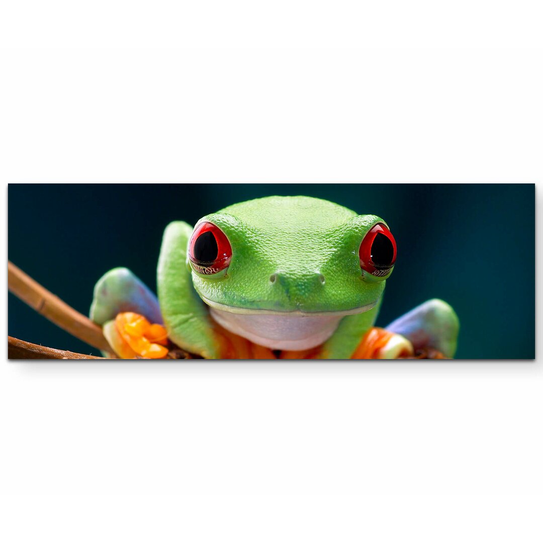 Leinwandbild Frosch mit roten Augen