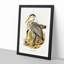 Great Grey Herons by Elizabeth Gould - Picture Frame Painting Print-55575370-55575374