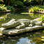 Statue de crocodile accroupi en béton de 42 po - statues de crocodile alligator pour jardin