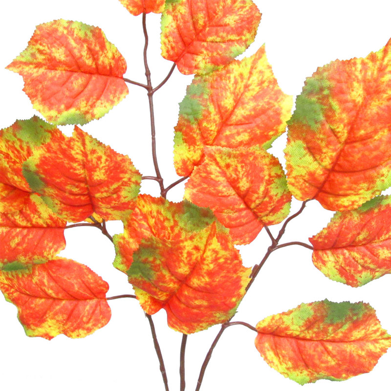 Branche de noisette, Vert / Orange