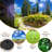 Solar Twinkle Luminary & Pathway Lights-68311264