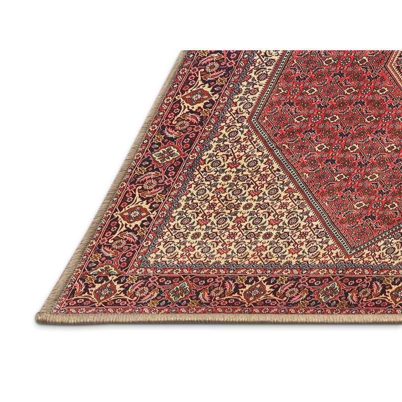 Cathaleya Oriental Indoor Rug, Rectangle 8' x 10'