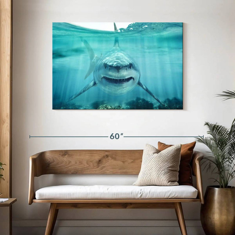 Brampt Predatory White Shark, 30" H x 45" W