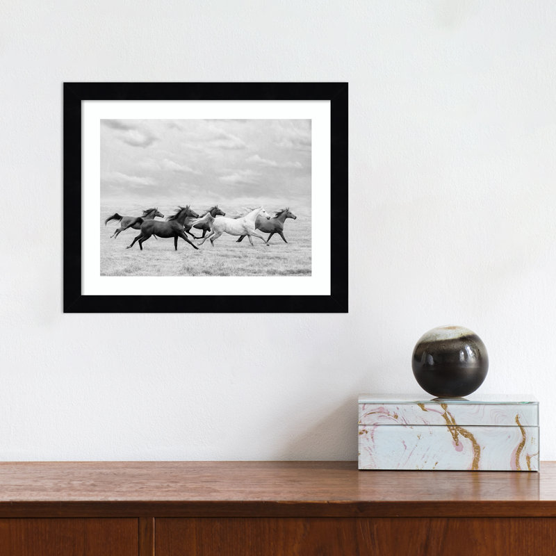 Horse Run I by PHBurchett, 11" H x 13" W, Black