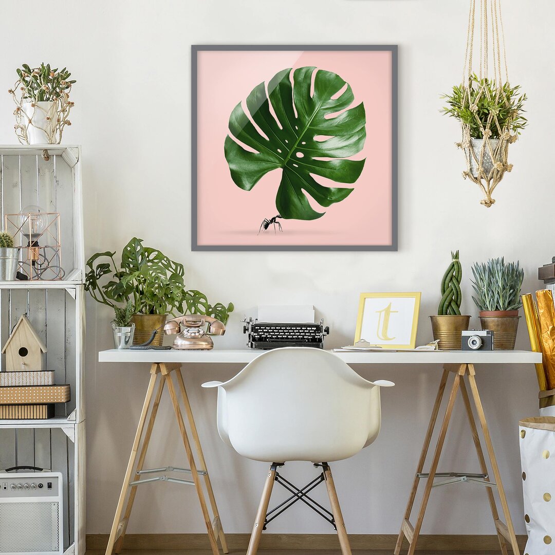 Gerahmtes Poster Ant mit Monstera Leaf von Jonas Loose