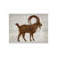 Wood Wildlife I Print by Isabella Burton-26706709-26706708