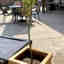 Customer photo 1 of 2