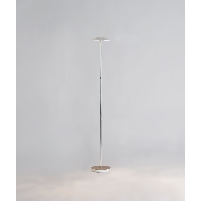 Royyo Chrome & Oiled Walnut 45.5'' Dimmable LED Floor Lamp