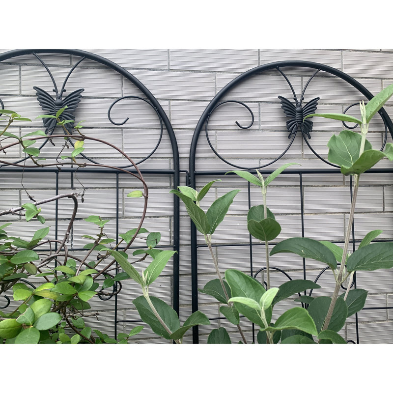 Treillis de jardin en métal