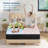 10"/12" Hybrid Mattress with Cooling Gel Memory Foam & Pocket Coils – Pressure Relief & Support-634914197-626970190