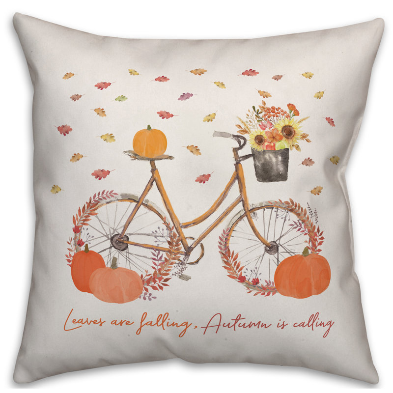 Throw Pillow