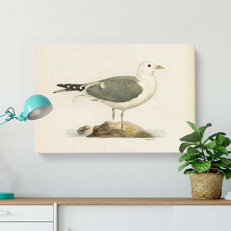 A Common Gull by Von Wright - Wrapped Canvas Painting, 50cm H x 76cm W x 3cm D