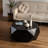 Khaidyn Coffee Table-1516214931