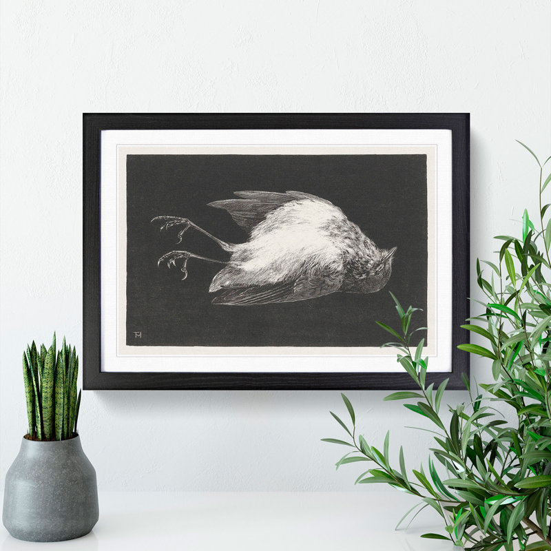 Dead Robin by Theo Van Hoytema - Picture Frame Graphic Art, 36cm H x 48cm W x 2cm D, Black Framed