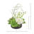Organic Modern Arrangement with Orchids and Hydrangeas-1163598272