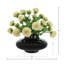 Dahlia Spray Arrangement in Round Glass Vase