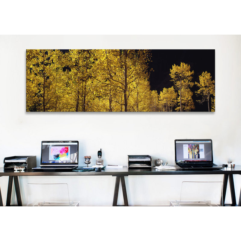 Aspen d’automne, colorado, états-unis-reproduction sur toile tendue, H 12 po x l 36 po x P 1,5 po