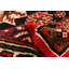 Tapis rouge Anadol 5 pi 1 po x 6 pi 11 po