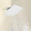Motif à 1 jet de 2,5 gallons par minute Pomme de douche murale fixe en blanc